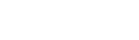 Shopify Partner