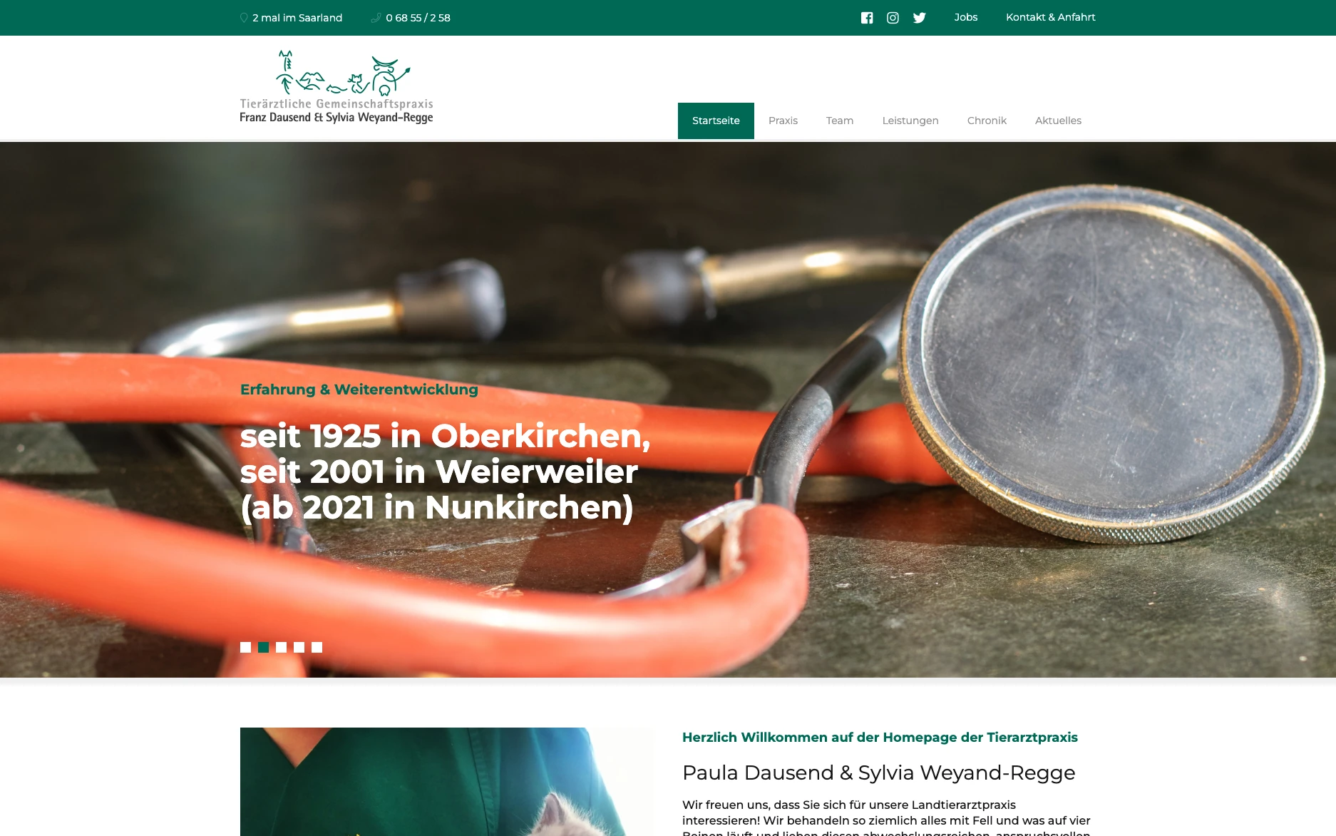 Tierärztliche Gemeinschaftspraxis Dausend & Weyand-Regge – Website-Ansicht