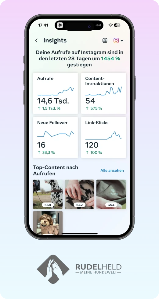 Rudelheld: Instagram-Aufrufe in 28 Tagen um 1.454 % gestiegen
